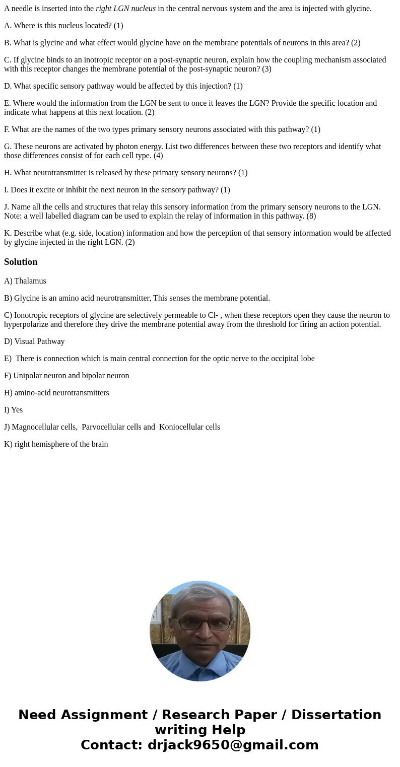 A needle is inserted into the right LGN nucleus in the central nervous system and the area is injected with glycine. A. Where is this nucleus located? (1) B. Wh A needle is inserted into the right LGN nucleus in the central nervous system and the area is injected with glycine. A. Where is this nucleus located? (1) B. Wh