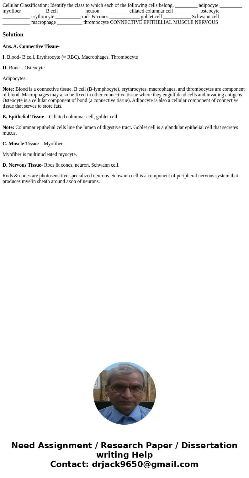  Cellular Classification: Identify the class to which each of the following cells belong. _________ adipocyte _________ myofiber _________ B cell __________ neu