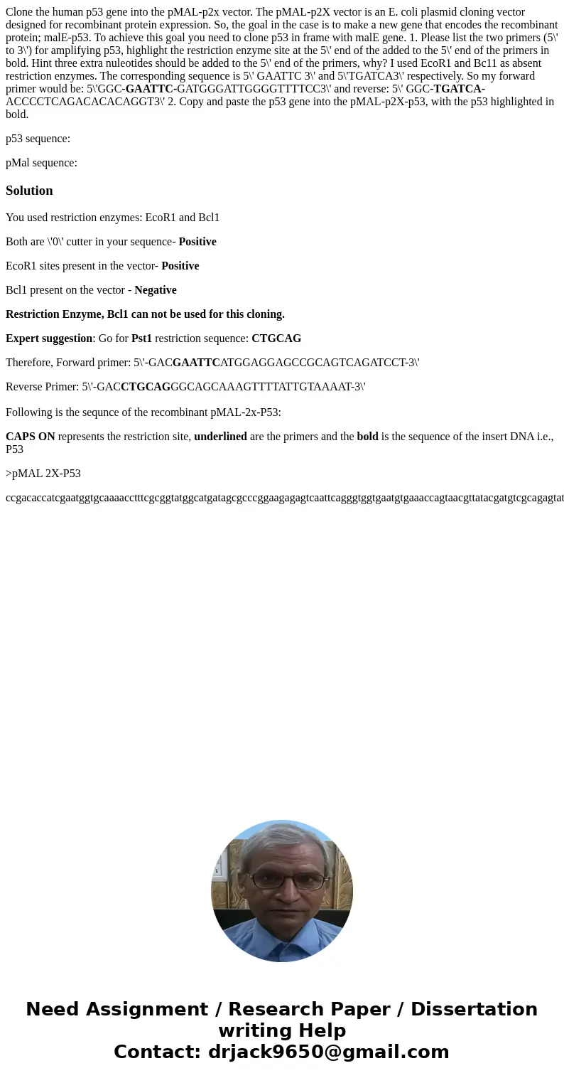 Clone the human p53 gene into the pMAL-p2x vector. The pMAL-p2X vector is an E. coli plasmid cloning vector designed for recombinant protein expression. So, the Clone the human p53 gene into the pMAL-p2x vector. The pMAL-p2X vector is an E. coli plasmid cloning vector designed for recombinant protein expression. So, the