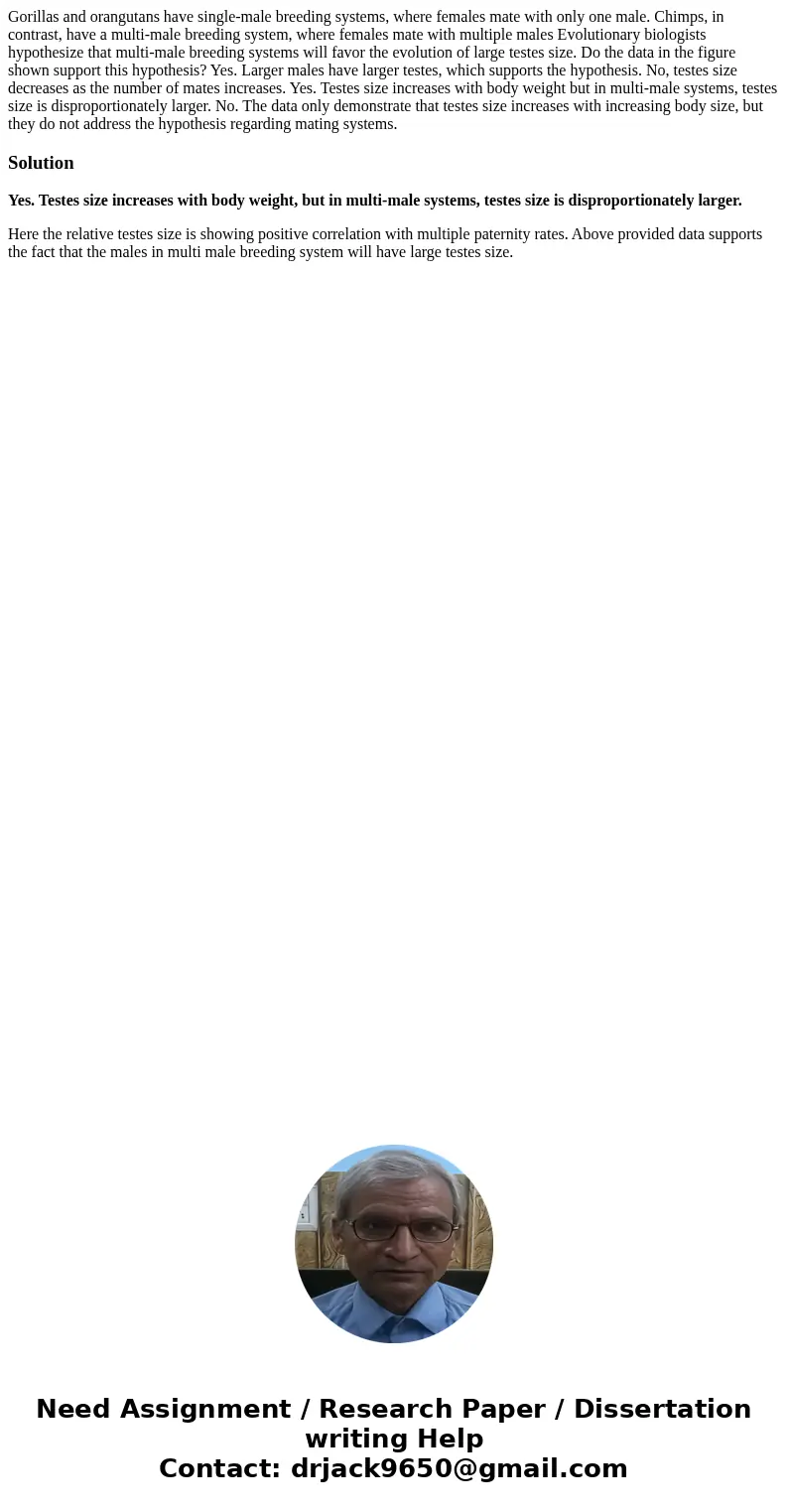 Gorillas and orangutans have single-male breeding systems, where females mate with only one male. Chimps, in contrast, have a multi-male breeding system, where  Gorillas and orangutans have single-male breeding systems, where females mate with only one male. Chimps, in contrast, have a multi-male breeding system, where