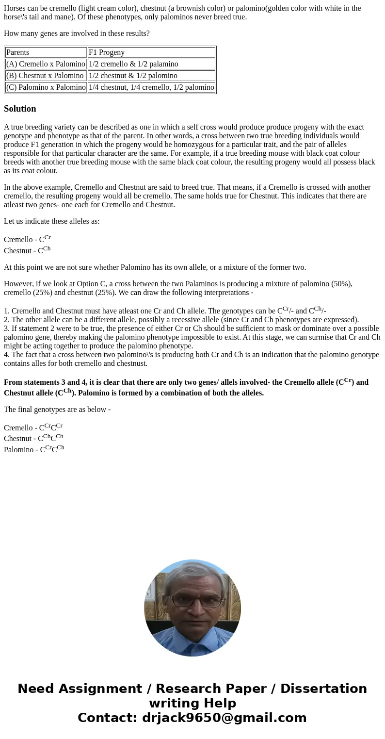 Horses can be cremello (light cream color), chestnut (a brownish color) or palomino(golden color with white in the horse\'s tail and mane). Of these phenotypes, Horses can be cremello (light cream color), chestnut (a brownish color) or palomino(golden color with white in the horse\'s tail and mane). Of these phenotypes,