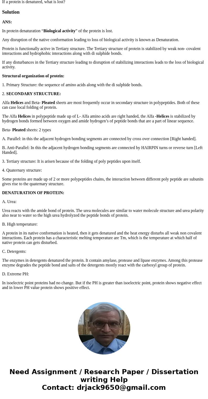 If a protein is denatured, what is lost?SolutionANS: In protein denaturation “Biological activity” of the protein is lost. Any disruption of the native conforma If a protein is denatured, what is lost?SolutionANS: In protein denaturation “Biological activity” of the protein is lost. Any disruption of the native conforma