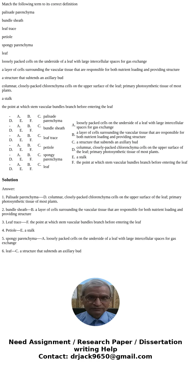 Match the following term to its correct definition palisade parenchyma bundle sheath leaf trace petiole spongy parenchyma leaf loosely packed cells on the under Match the following term to its correct definition palisade parenchyma bundle sheath leaf trace petiole spongy parenchyma leaf loosely packed cells on the under
