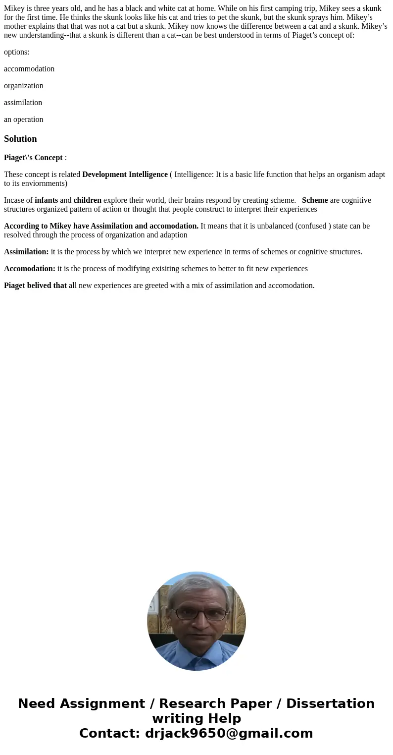 Mikey is three years old, and he has a black and white cat at home. While on his first camping trip, Mikey sees a skunk for the first time. He thinks the skunk  Mikey is three years old, and he has a black and white cat at home. While on his first camping trip, Mikey sees a skunk for the first time. He thinks the skunk