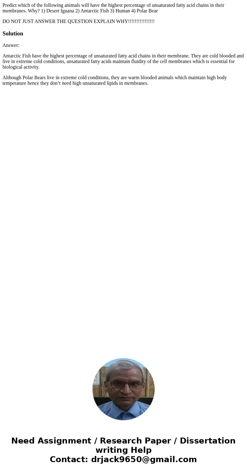 Predict which of the following animals will have the highest percentage of unsaturated fatty acid chains in their membranes. Why? 1) Desert Iguana 2) Antarctic  Predict which of the following animals will have the highest percentage of unsaturated fatty acid chains in their membranes. Why? 1) Desert Iguana 2) Antarctic