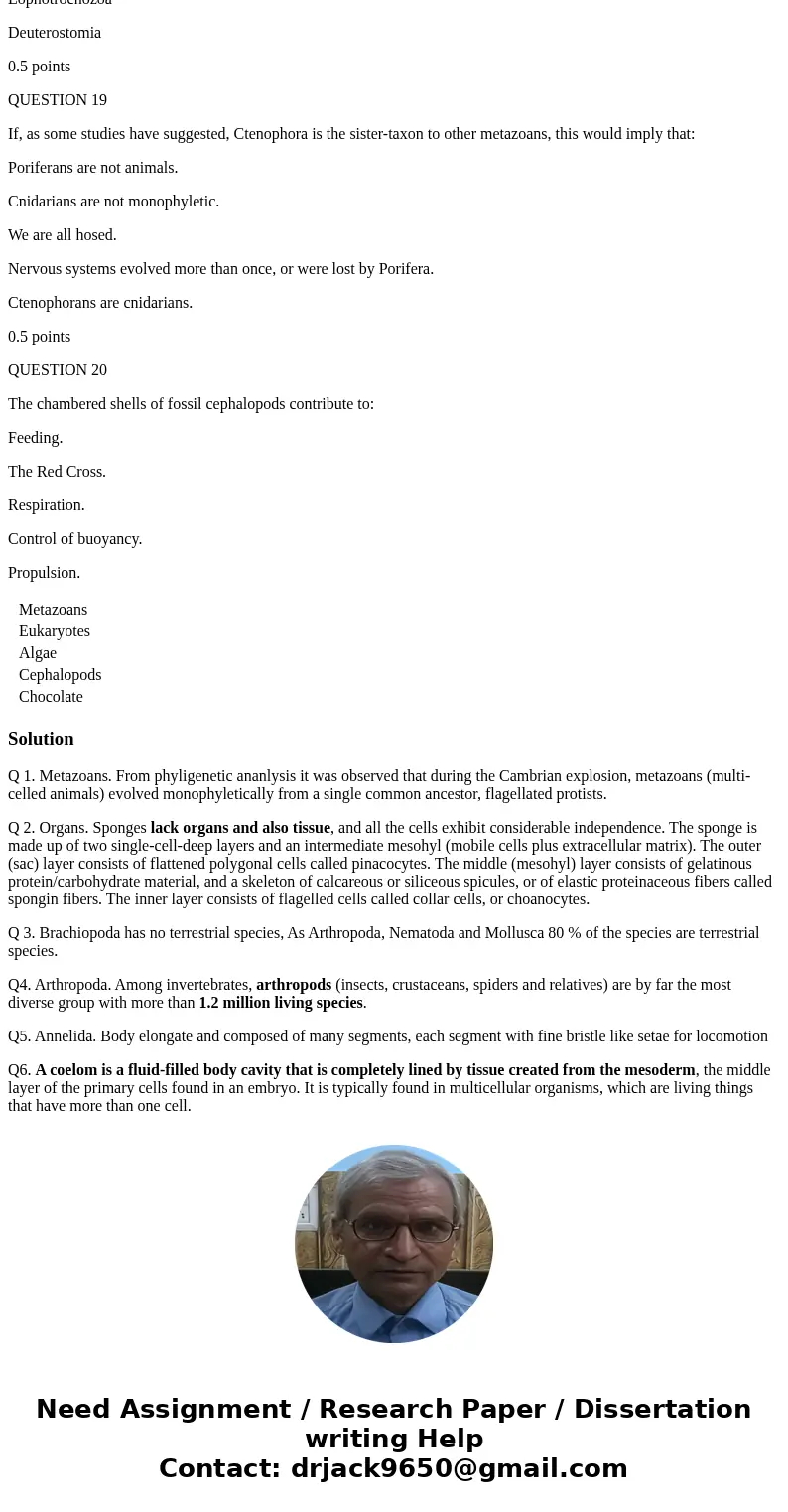 QUESTION 1 The “Cambrian Explosion” describes the relatively sudden appearance of __________ in the fossil record in the Cambrian. Metazoans Eukaryotes Algae Ce QUESTION 1 The “Cambrian Explosion” describes the relatively sudden appearance of __________ in the fossil record in the Cambrian. Metazoans Eukaryotes Algae Ce