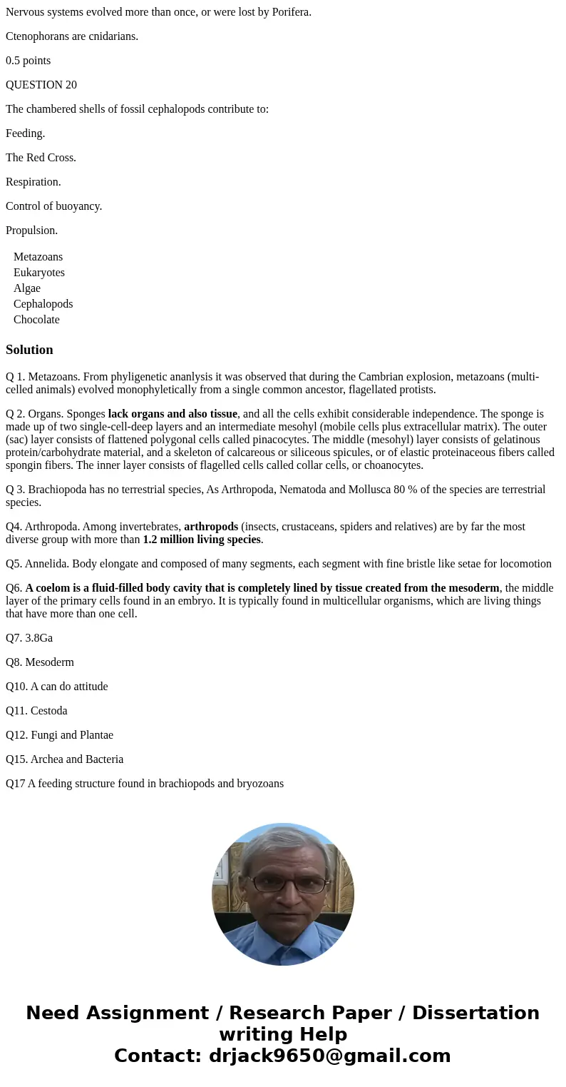 QUESTION 1 The “Cambrian Explosion” describes the relatively sudden appearance of __________ in the fossil record in the Cambrian. Metazoans Eukaryotes Algae Ce QUESTION 1 The “Cambrian Explosion” describes the relatively sudden appearance of __________ in the fossil record in the Cambrian. Metazoans Eukaryotes Algae Ce
