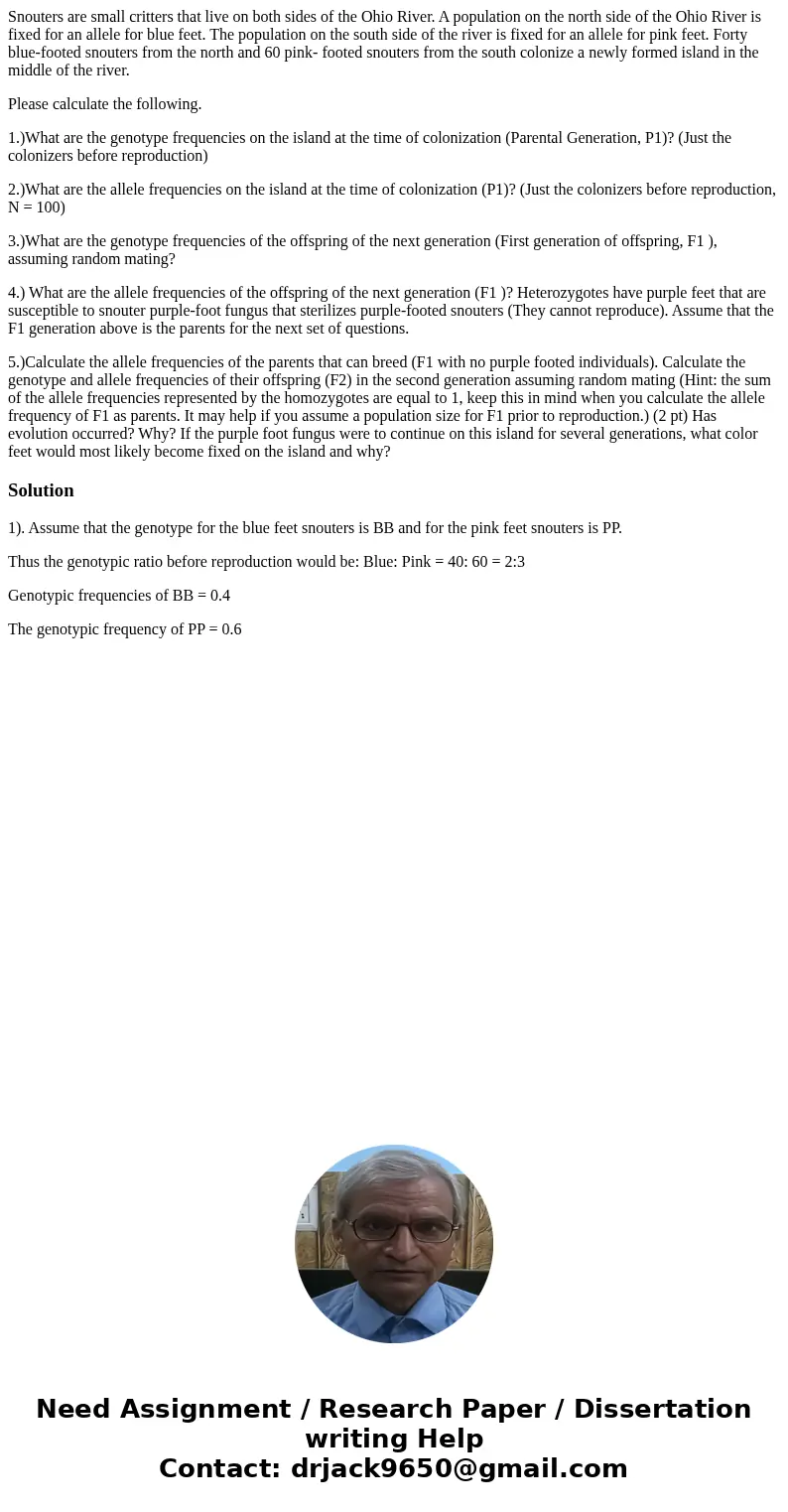 Snouters are small critters that live on both sides of the Ohio River. A population on the north side of the Ohio River is fixed for an allele for blue feet. Th Snouters are small critters that live on both sides of the Ohio River. A population on the north side of the Ohio River is fixed for an allele for blue feet. Th