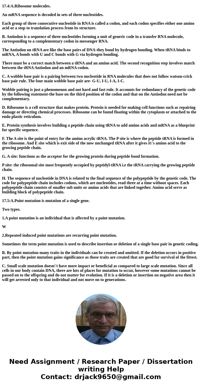  Translation is the RNA-directed synthesis of a polypeptide: a closer look What molecule is responsible for \