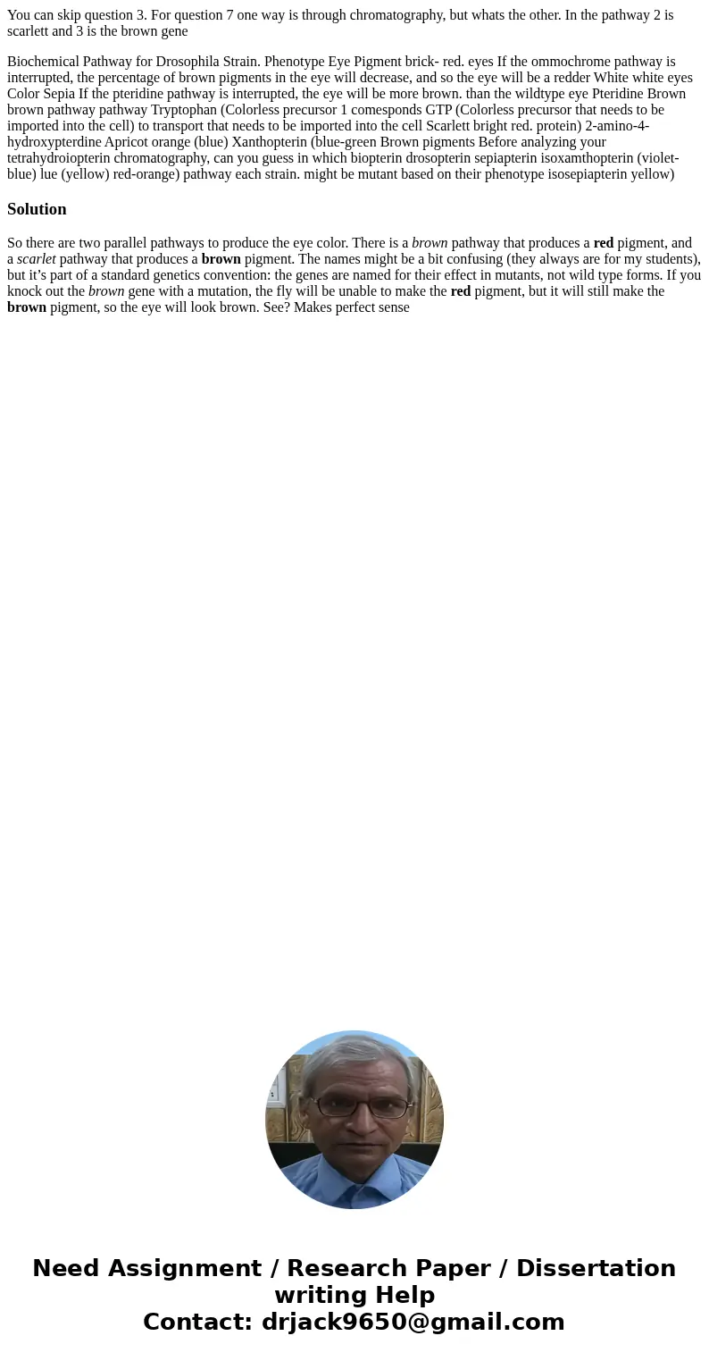 You can skip question 3. For question 7 one way is through chromatography, but whats the other. In the pathway 2 is scarlett and 3 is the brown gene Biochemical You can skip question 3. For question 7 one way is through chromatography, but whats the other. In the pathway 2 is scarlett and 3 is the brown gene Biochemical