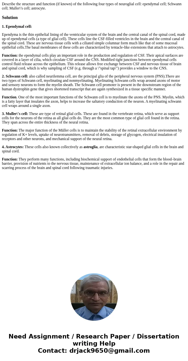 Describe the structure and function (if known) of the following four types of neuroglial cell: ependymal cell; Schwann cell; Muller\'s cell; astrocyte.Solution1 Describe the structure and function (if known) of the following four types of neuroglial cell: ependymal cell; Schwann cell; Muller\'s cell; astrocyte.Solution1