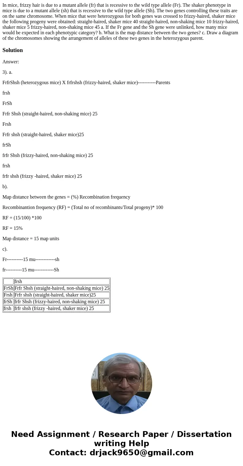 In mice, frizzy hair is due to a mutant allele (fr) that is recessive to the wild type allele (Fr). The shaker phenotype in mice is due to a mutant allele (sh)  In mice, frizzy hair is due to a mutant allele (fr) that is recessive to the wild type allele (Fr). The shaker phenotype in mice is due to a mutant allele (sh)