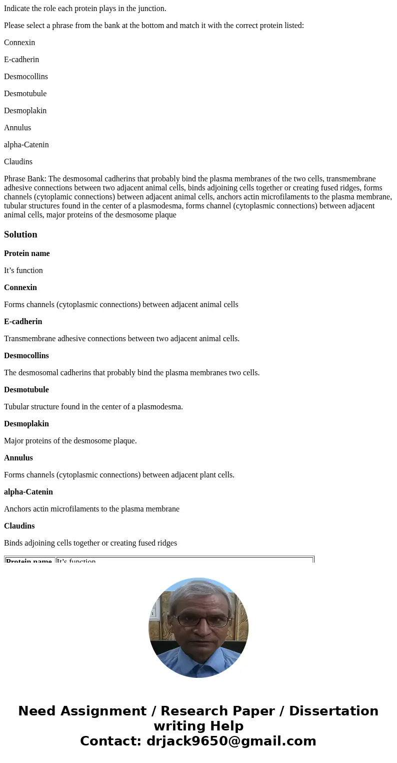Indicate the role each protein plays in the junction. Please select a phrase from the bank at the bottom and match it with the correct protein listed: Connexin  Indicate the role each protein plays in the junction. Please select a phrase from the bank at the bottom and match it with the correct protein listed: Connexin