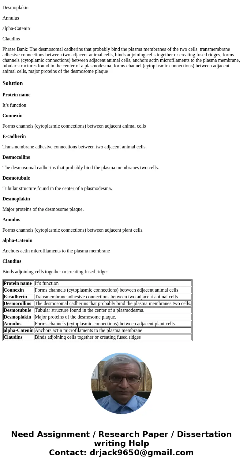 Indicate the role each protein plays in the junction. Please select a phrase from the bank at the bottom and match it with the correct protein listed: Connexin  Indicate the role each protein plays in the junction. Please select a phrase from the bank at the bottom and match it with the correct protein listed: Connexin
