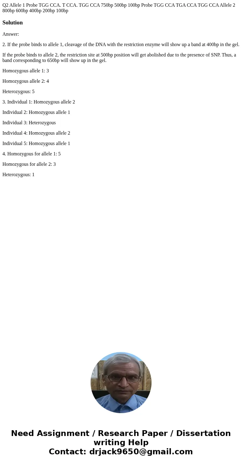 Q2 Allele 1 Probe TGG CCA. T CCA. TGG CCA 750bp 500bp 100bp Probe TGG CCA TGA CCA TGG CCA Allele 2 800bp 600bp 400bp 200bp 100bp SolutionAnswer: 2. If the prob  Q2 Allele 1 Probe TGG CCA. T CCA. TGG CCA 750bp 500bp 100bp Probe TGG CCA TGA CCA TGG CCA Allele 2 800bp 600bp 400bp 200bp 100bp SolutionAnswer: 2. If the prob