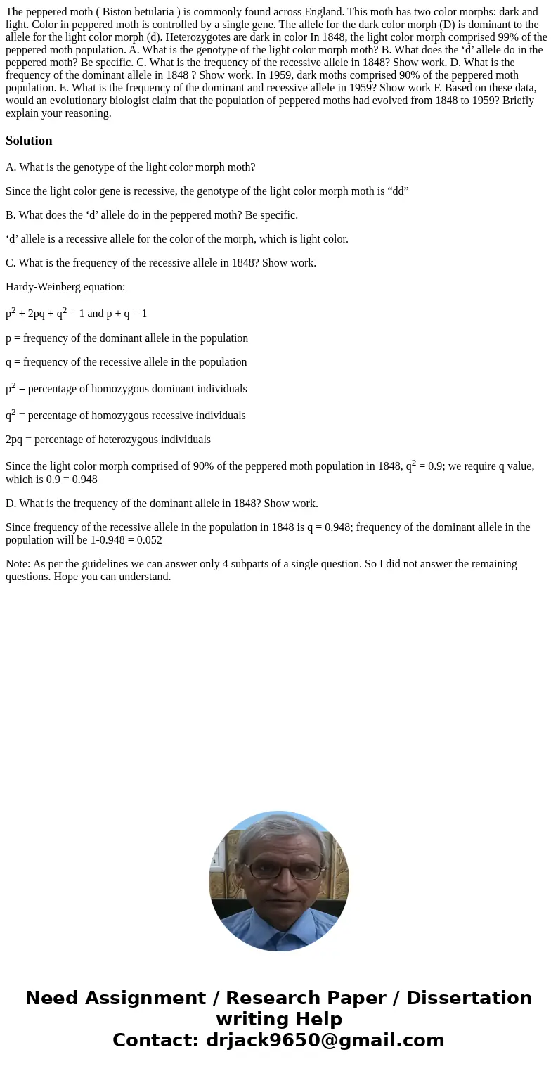 The peppered moth ( Biston betularia ) is commonly found across England. This moth has two color morphs: dark and light. Color in peppered moth is controlled by
