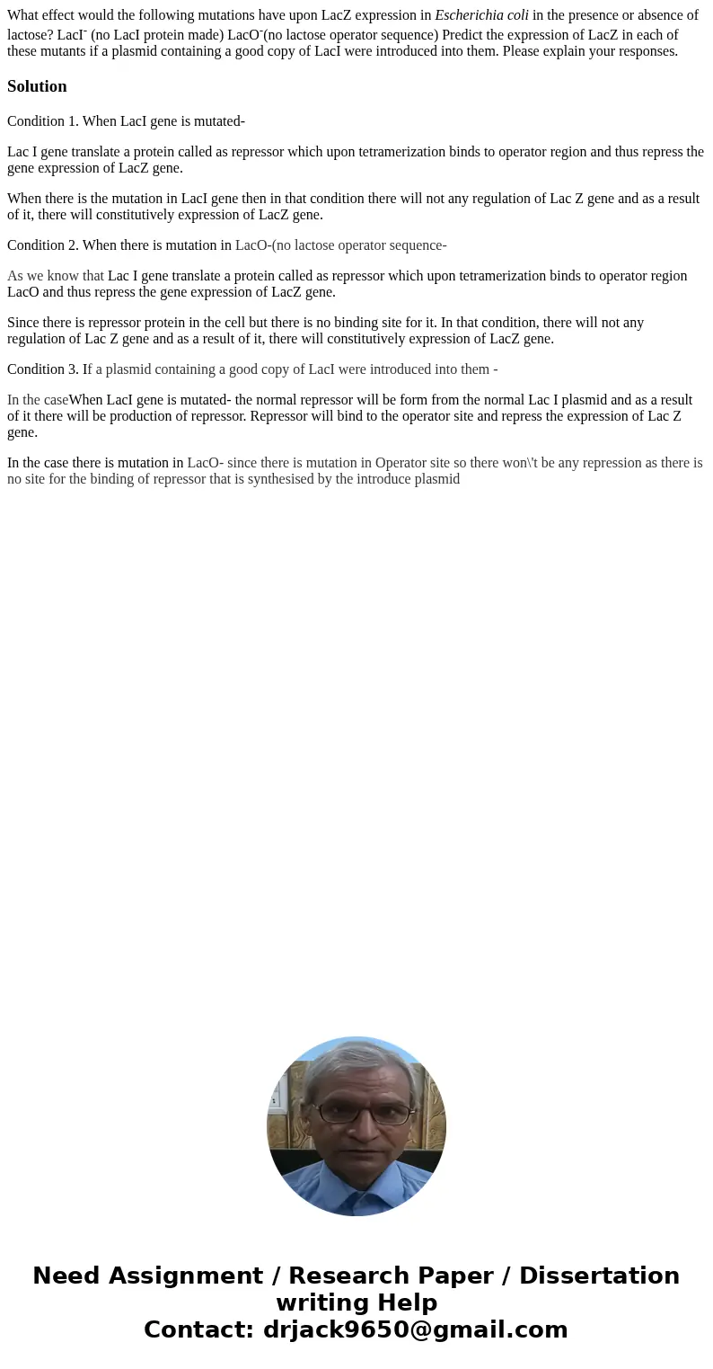 What effect would the following mutations have upon LacZ expression in Escherichia coli in the presence or absence of lactose? LacI- (no LacI protein made) LacO What effect would the following mutations have upon LacZ expression in Escherichia coli in the presence or absence of lactose? LacI- (no LacI protein made) LacO