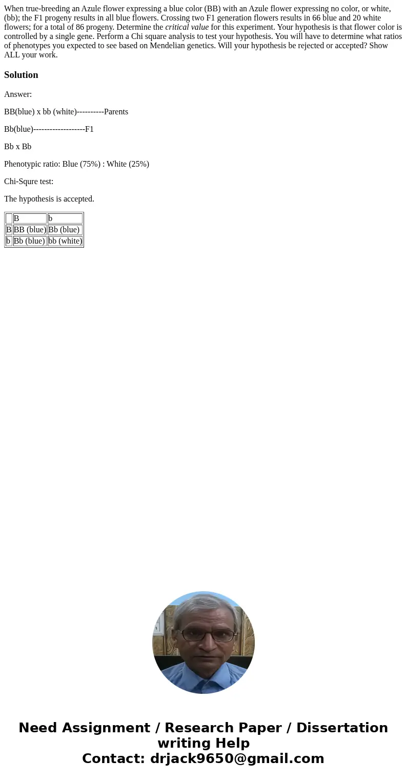 When true-breeding an Azule flower expressing a blue color (BB) with an Azule flower expressing no color, or white, (bb); the F1 progeny results in all blue flo When true-breeding an Azule flower expressing a blue color (BB) with an Azule flower expressing no color, or white, (bb); the F1 progeny results in all blue flo