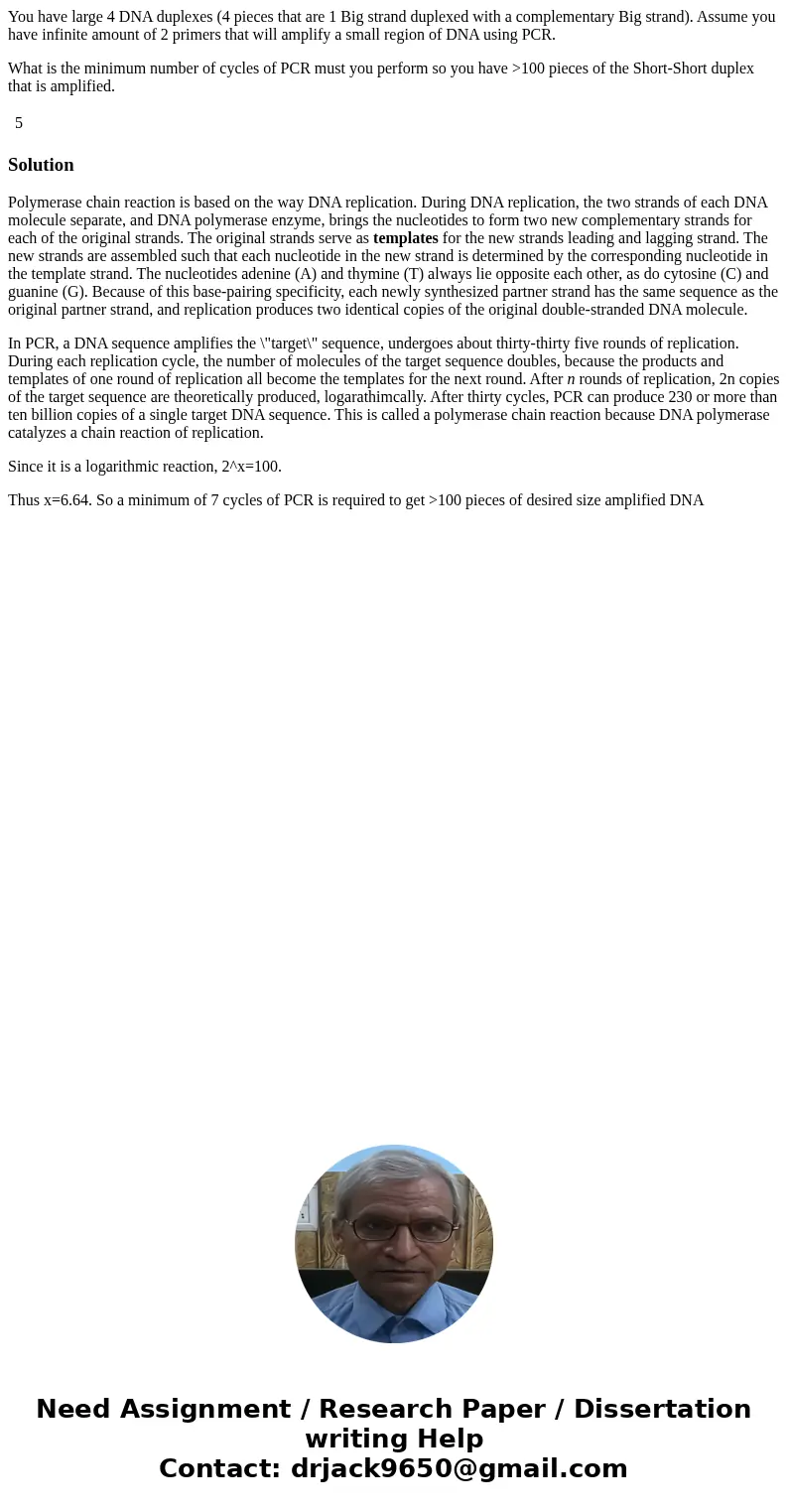 You have large 4 DNA duplexes (4 pieces that are 1 Big strand duplexed with a complementary Big strand). Assume you have infinite amount of 2 primers that will 