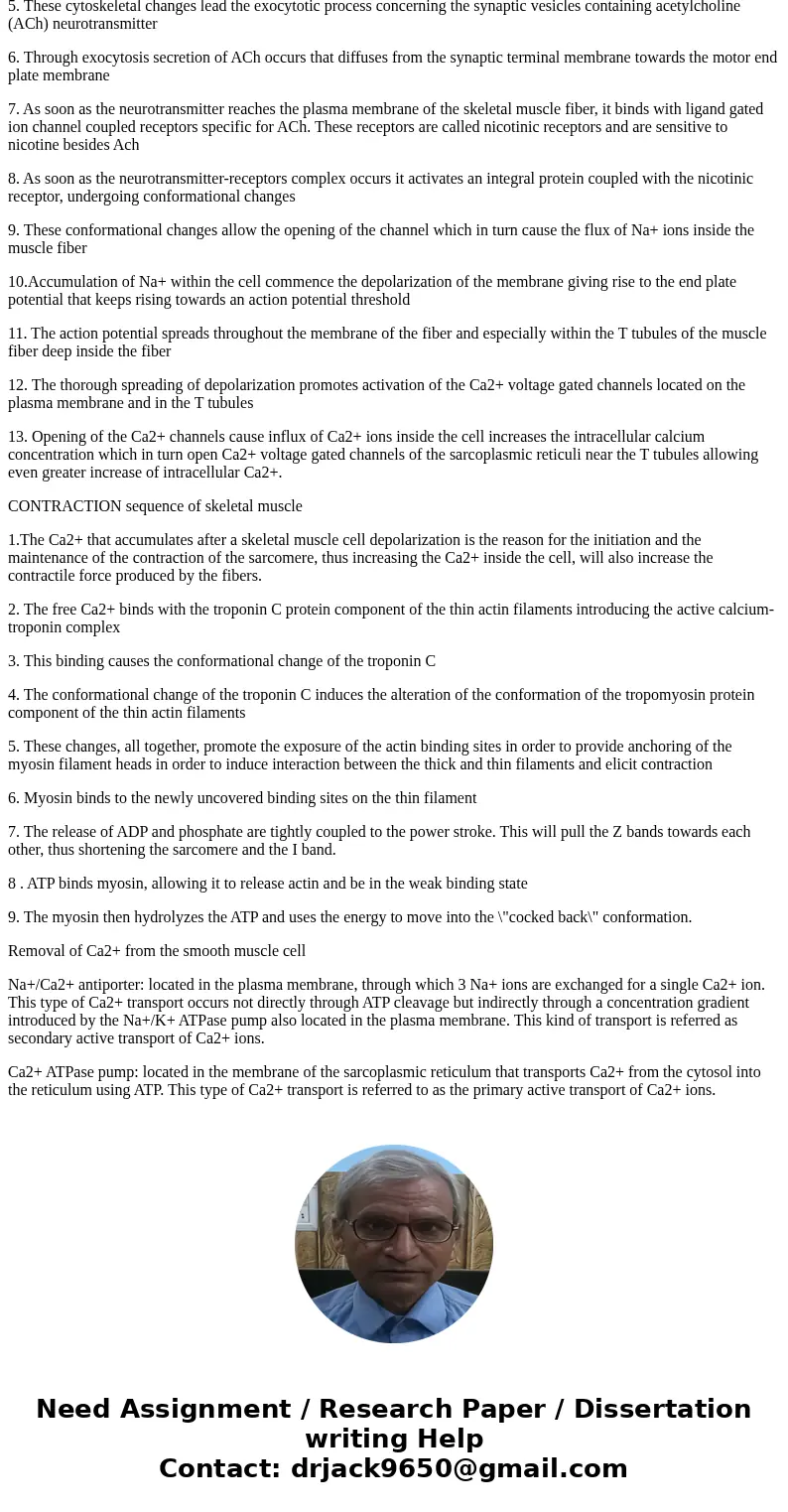 Anne is camping with her friends and stumbles upon a berry bush. She assumes that the berries are safe and decides to eat them. Suddenly, all of her skeletal mu Anne is camping with her friends and stumbles upon a berry bush. She assumes that the berries are safe and decides to eat them. Suddenly, all of her skeletal mu