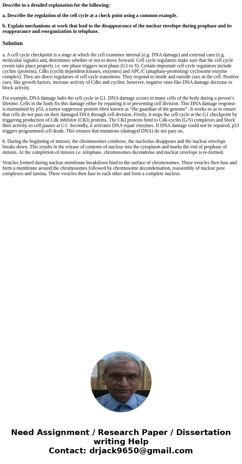 Describe in a detailed explanation for the following: a. Describe the regulation of the cell cycle at a check point using a common example. b. Explain mechanism Describe in a detailed explanation for the following: a. Describe the regulation of the cell cycle at a check point using a common example. b. Explain mechanism