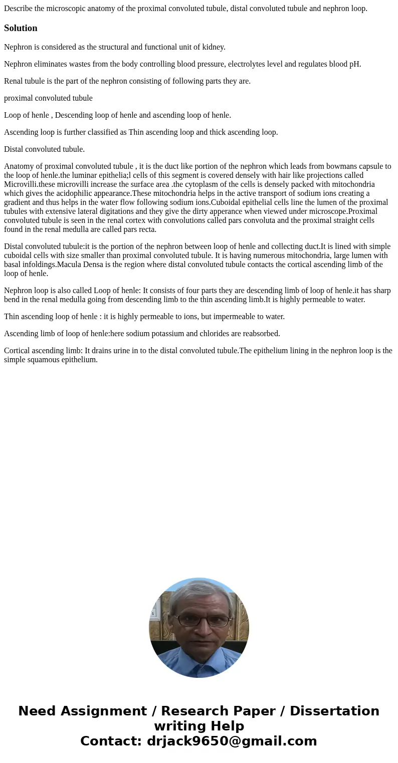 Describe the microscopic anatomy of the proximal convoluted tubule, distal convoluted tubule and nephron loop.SolutionNephron is considered as the structural an Describe the microscopic anatomy of the proximal convoluted tubule, distal convoluted tubule and nephron loop.SolutionNephron is considered as the structural an