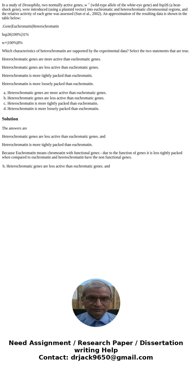 In a study of Drosophila, two normally active genes, w + (wild-type allele of the white-eye gene) and hsp26 (a heat-shock gene), were introduced (using a plasmi In a study of Drosophila, two normally active genes, w + (wild-type allele of the white-eye gene) and hsp26 (a heat-shock gene), were introduced (using a plasmi