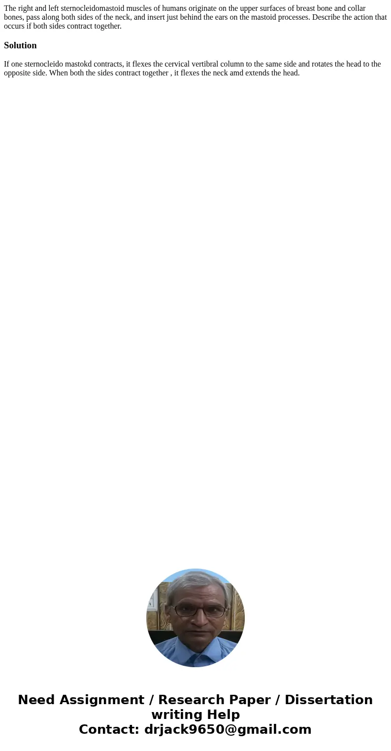 The right and left sternocleidomastoid muscles of humans originate on the upper surfaces of breast bone and collar bones, pass along both sides of the neck, and The right and left sternocleidomastoid muscles of humans originate on the upper surfaces of breast bone and collar bones, pass along both sides of the neck, and