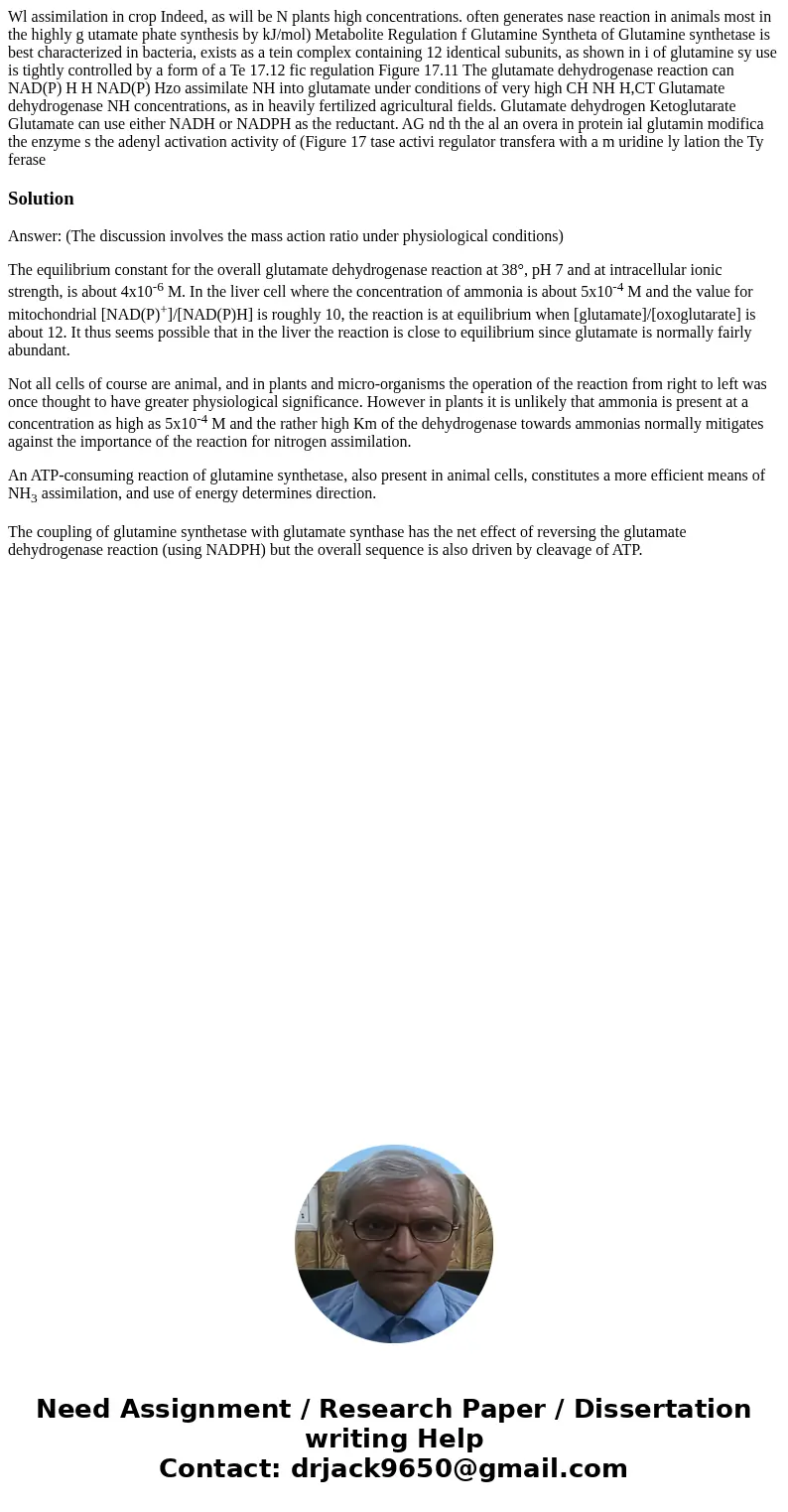 Wl assimilation in crop Indeed, as will be N plants high concentrations. often generates nase reaction in animals most in the highly g utamate phate synthesis   Wl assimilation in crop Indeed, as will be N plants high concentrations. often generates nase reaction in animals most in the highly g utamate phate synthesis