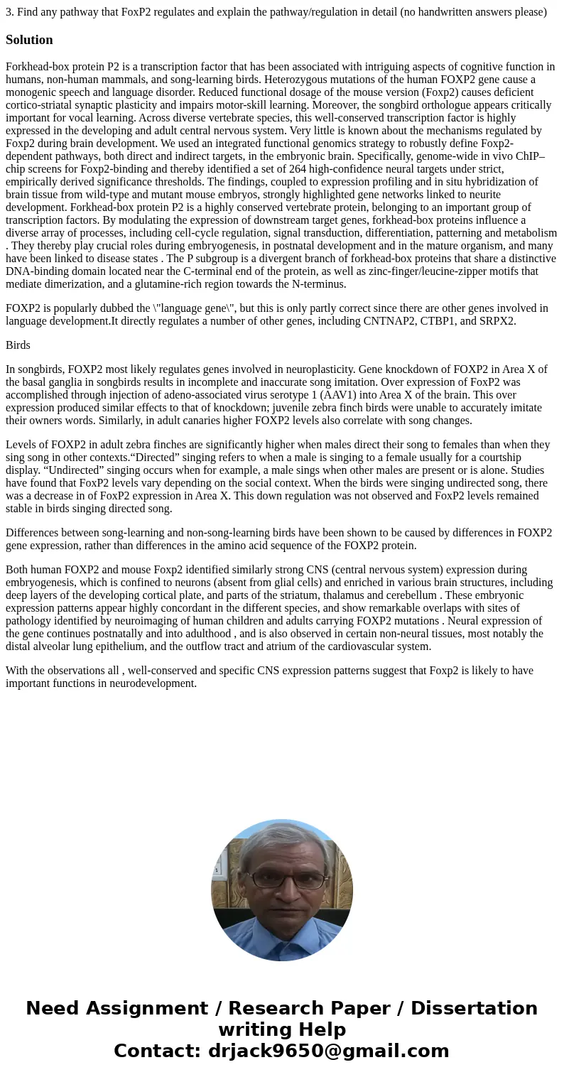 3. Find any pathway that FoxP2 regulates and explain the pathway/regulation in detail (no handwritten answers please)SolutionForkhead-box protein P2 is a transc 3. Find any pathway that FoxP2 regulates and explain the pathway/regulation in detail (no handwritten answers please)SolutionForkhead-box protein P2 is a transc