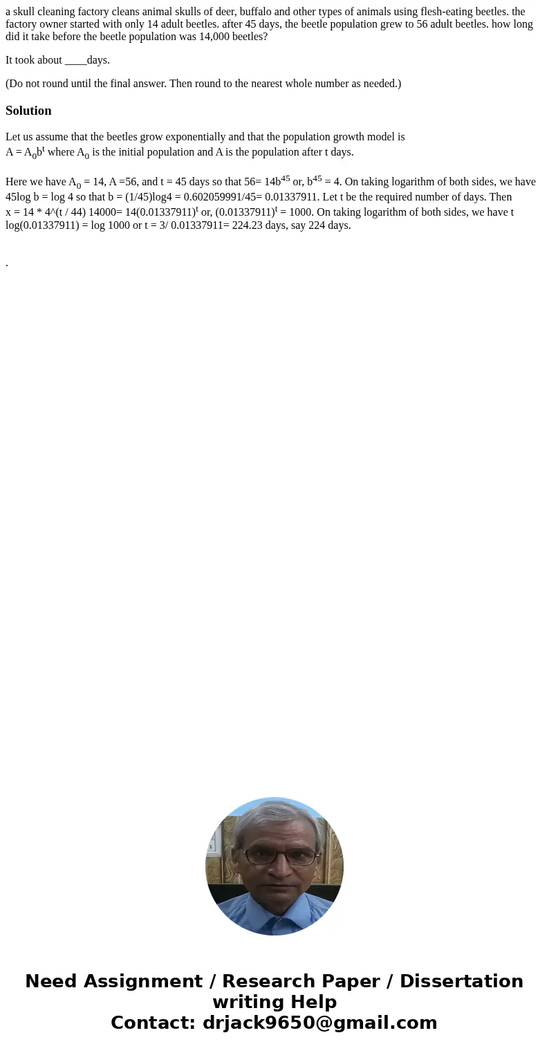 a skull cleaning factory cleans animal skulls of deer, buffalo and other types of animals using flesh-eating beetles. the factory owner started with only 14 adu