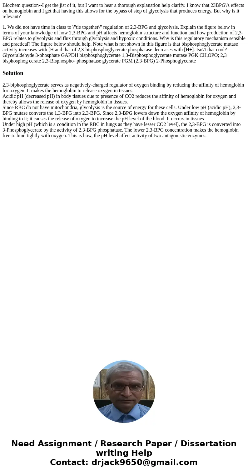 Biochem question--I get the jist of it, but I want to hear a thorough explanation help clarify. I know that 23BPG\'s effects on hemoglobin and I get that having Biochem question--I get the jist of it, but I want to hear a thorough explanation help clarify. I know that 23BPG\'s effects on hemoglobin and I get that having