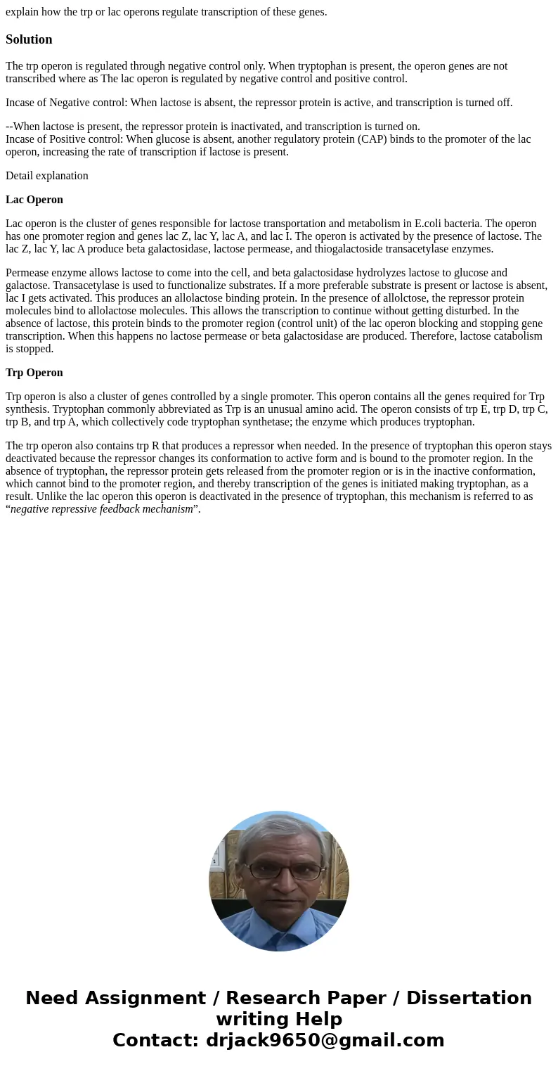 explain how the trp or lac operons regulate transcription of these genes.SolutionThe trp operon is regulated through negative control only. When tryptophan is p explain how the trp or lac operons regulate transcription of these genes.SolutionThe trp operon is regulated through negative control only. When tryptophan is p