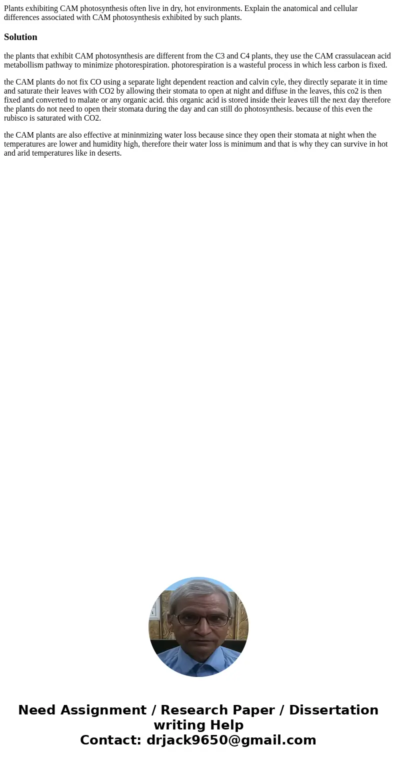 Plants exhibiting CAM photosynthesis often live in dry, hot environments. Explain the anatomical and cellular differences associated with CAM photosynthesis exh
