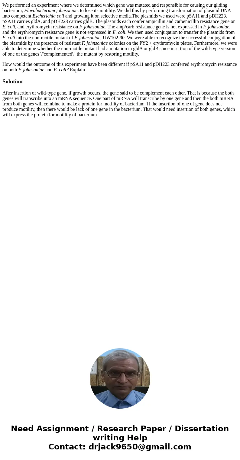 We performed an experiment where we determined which gene was mutated and responsible for causing our gliding bacterium, Flavobacterium johnsoniae, to lose its 