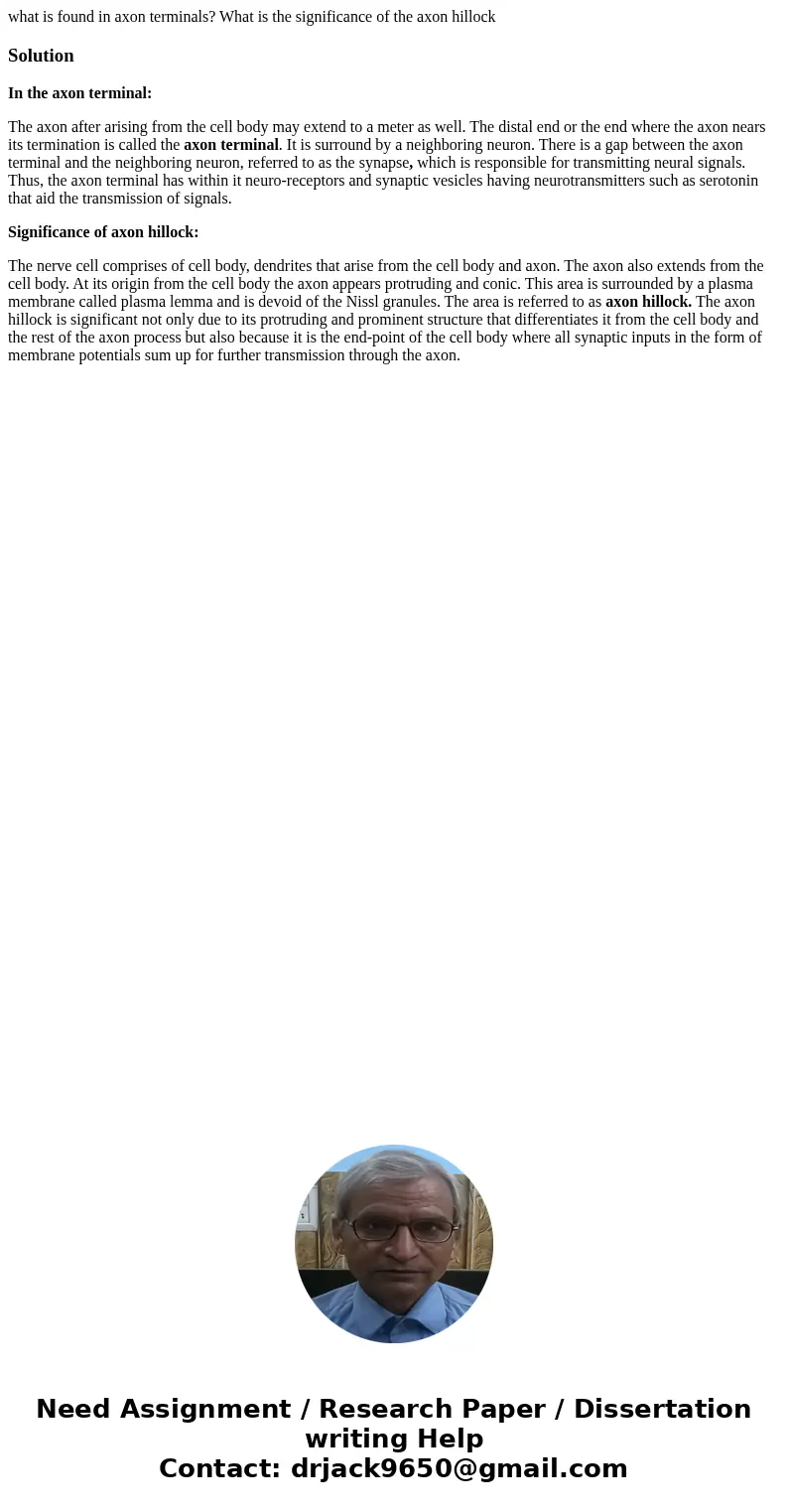 what is found in axon terminals? What is the significance of the axon hillockSolutionIn the axon terminal: The axon after arising from the cell body may extend 