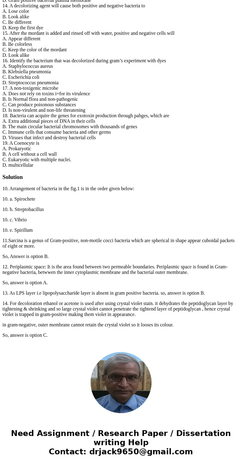  10. The bacterium in figure 1. A. Spirillum B. Streptobacillus C. Vibrio D. Spirochete 11. “Sarcina” describes a group of A. Scattered coccobacilli B. Eight co