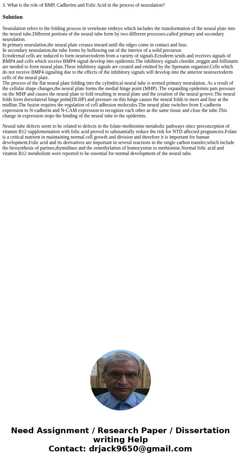 3. What is the role of BMP, Cadherins and Folic Acid in the process of neurulation? SolutionNeurulation refers to the folding process in vertebrate embryo whic  3. What is the role of BMP, Cadherins and Folic Acid in the process of neurulation? SolutionNeurulation refers to the folding process in vertebrate embryo whic