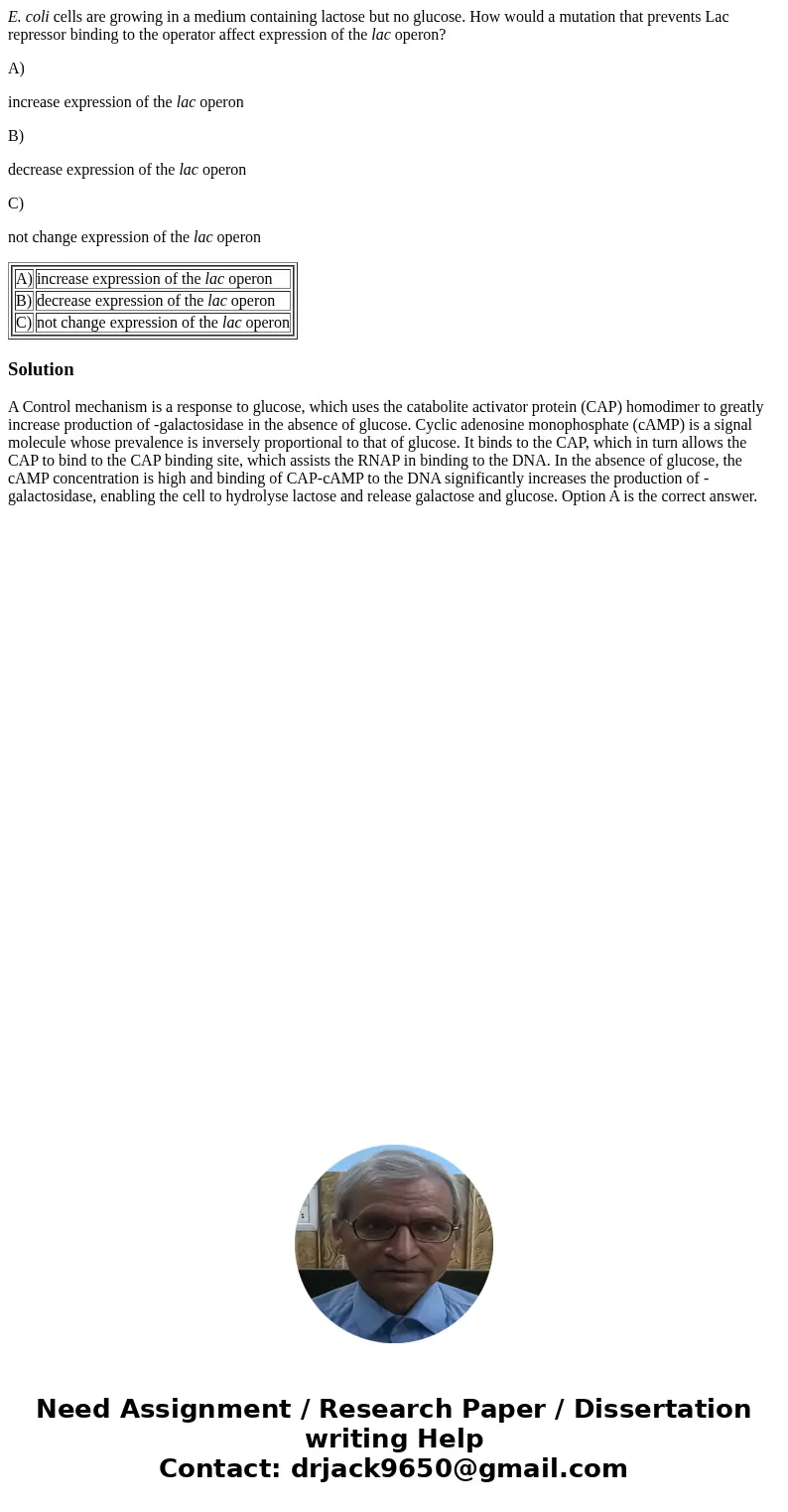 E. coli cells are growing in a medium containing lactose but no glucose. How would a mutation that prevents Lac repressor binding to the operator affect express E. coli cells are growing in a medium containing lactose but no glucose. How would a mutation that prevents Lac repressor binding to the operator affect express
