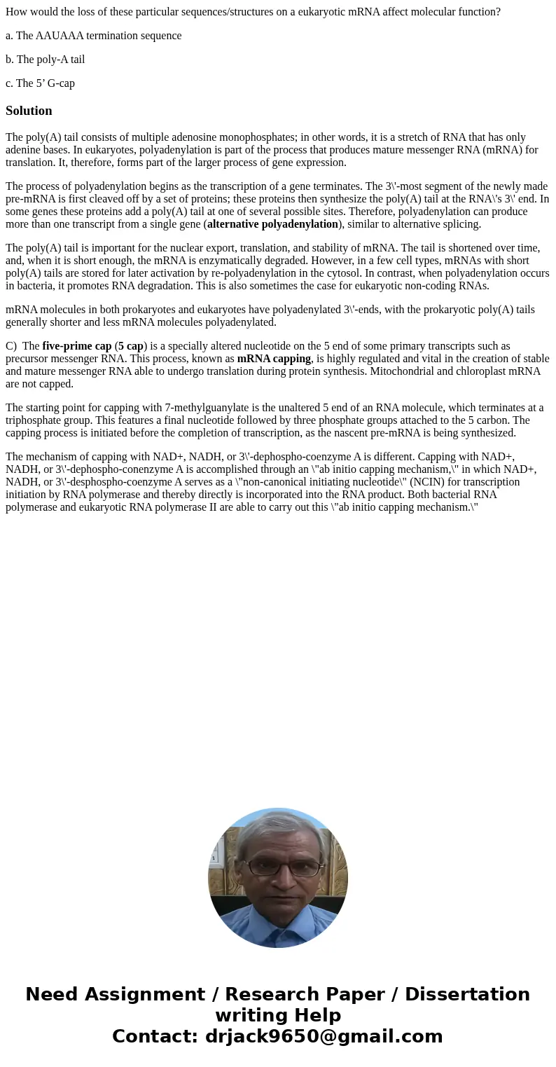 How would the loss of these particular sequences/structures on a eukaryotic mRNA affect molecular function? a. The AAUAAA termination sequence b. The poly-A tai How would the loss of these particular sequences/structures on a eukaryotic mRNA affect molecular function? a. The AAUAAA termination sequence b. The poly-A tai