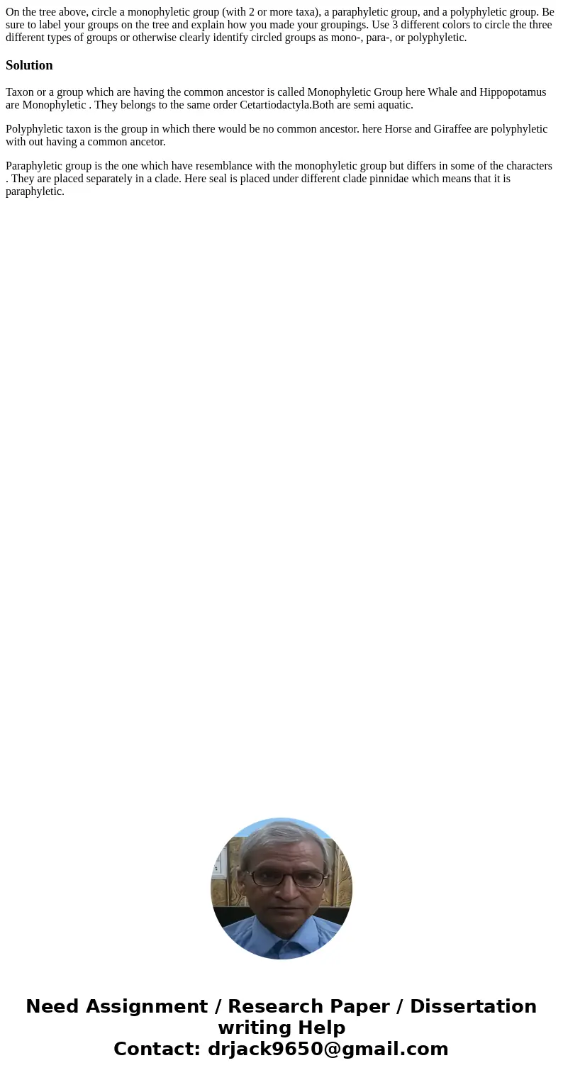 On the tree above, circle a monophyletic group (with 2 or more taxa), a paraphyletic group, and a polyphyletic group. Be sure to label your groups on the tree   On the tree above, circle a monophyletic group (with 2 or more taxa), a paraphyletic group, and a polyphyletic group. Be sure to label your groups on the tree