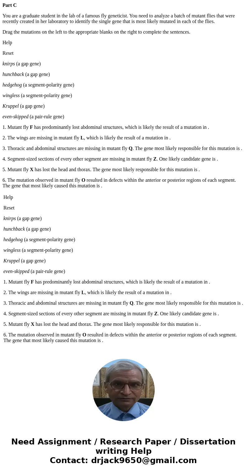 Part C You are a graduate student in the lab of a famous fly geneticist. You need to analyze a batch of mutant flies that were recently created in her laborator Part C You are a graduate student in the lab of a famous fly geneticist. You need to analyze a batch of mutant flies that were recently created in her laborator