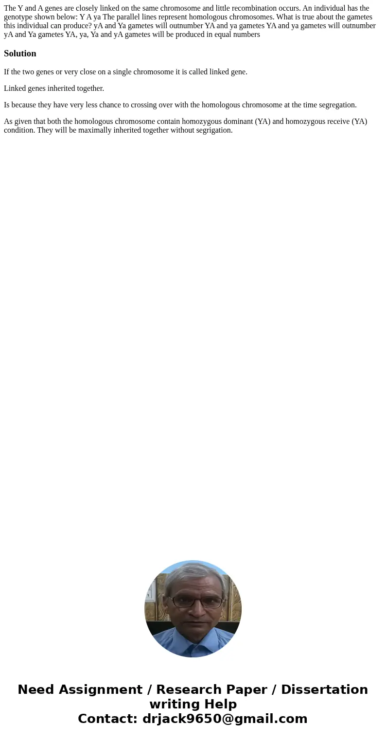 The Y and A genes are closely linked on the same chromosome and little recombination occurs. An individual has the genotype shown below: Y A ya The parallel li  The Y and A genes are closely linked on the same chromosome and little recombination occurs. An individual has the genotype shown below: Y A ya The parallel li