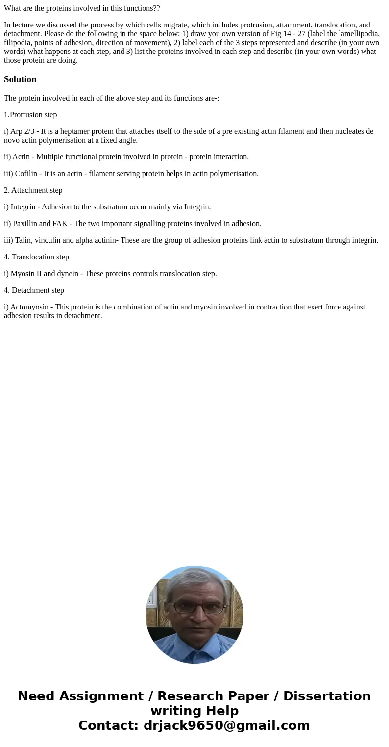 What are the proteins involved in this functions?? In lecture we discussed the process by which cells migrate, which includes protrusion, attachment, translocat