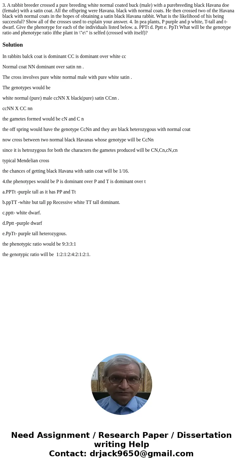 3. A rabbit breeder crossed a pure breeding white normal coated buck (male) with a purebreeding black Havana doe (female) with a satin coat. All the offspring   3. A rabbit breeder crossed a pure breeding white normal coated buck (male) with a purebreeding black Havana doe (female) with a satin coat. All the offspring