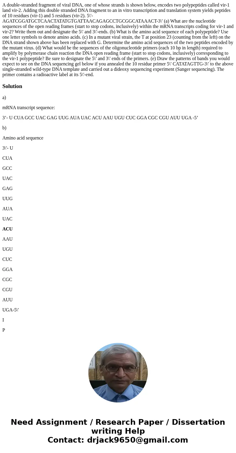 A double-stranded fragment of viral DNA, one of whose strands is shown below, encodes two polypeptides called vir-1 land vir-2. Adding this double stranded DNA  A double-stranded fragment of viral DNA, one of whose strands is shown below, encodes two polypeptides called vir-1 land vir-2. Adding this double stranded DNA