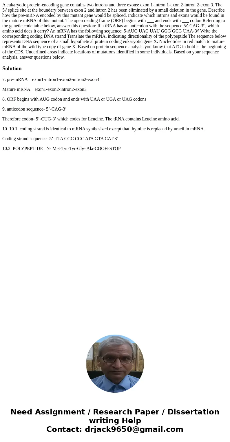 A eukaryotic protein-encoding gene contains two introns and three exons: exon 1-intron 1-exon 2-intron 2-exon 3. The 5\' splice site at the boundary between ex  A eukaryotic protein-encoding gene contains two introns and three exons: exon 1-intron 1-exon 2-intron 2-exon 3. The 5\' splice site at the boundary between ex