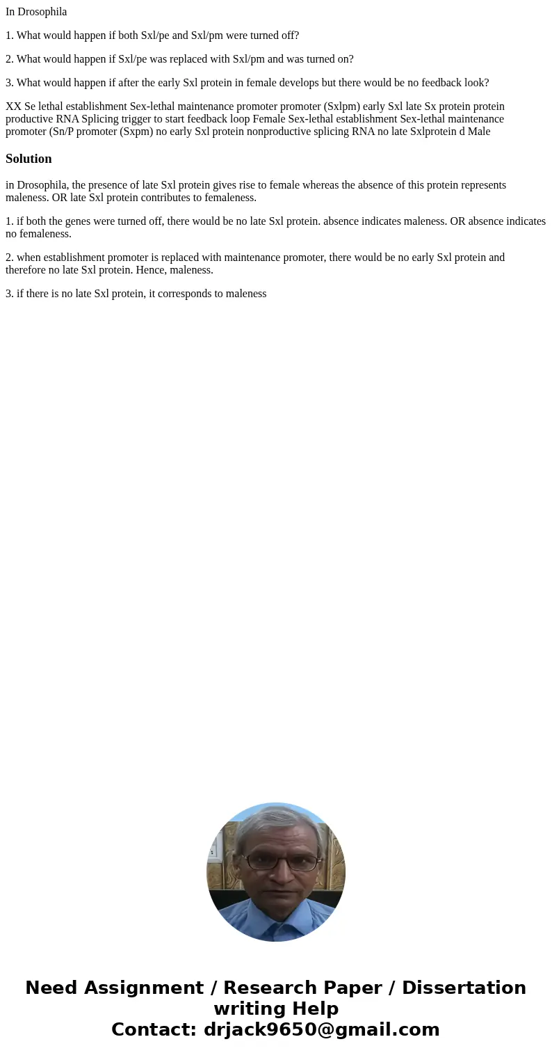 In Drosophila 1. What would happen if both Sxl/pe and Sxl/pm were turned off? 2. What would happen if Sxl/pe was replaced with Sxl/pm and was turned on? 3. What In Drosophila 1. What would happen if both Sxl/pe and Sxl/pm were turned off? 2. What would happen if Sxl/pe was replaced with Sxl/pm and was turned on? 3. What