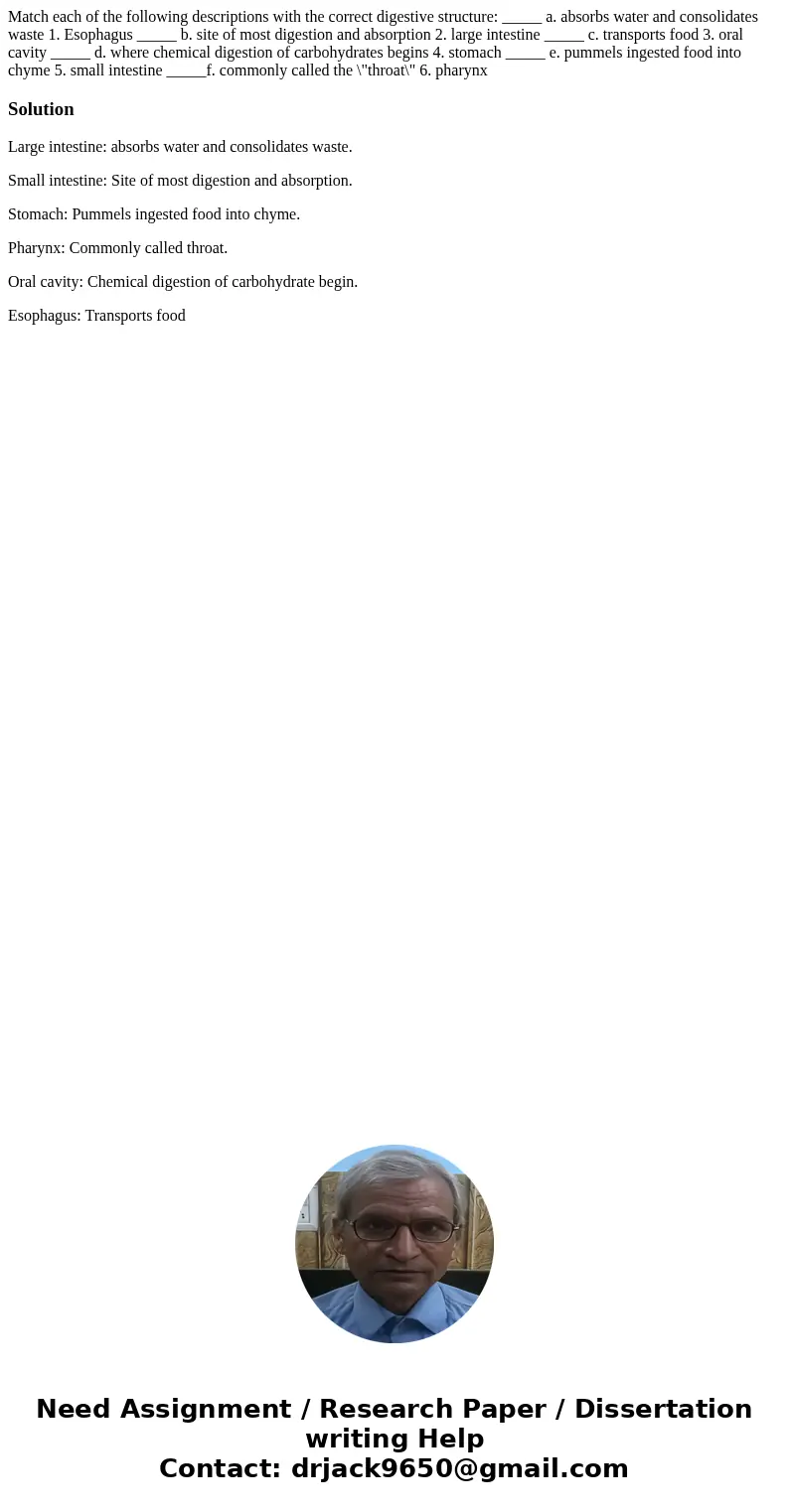 Match each of the following descriptions with the correct digestive structure: _____ a. absorbs water and consolidates waste 1. Esophagus _____ b. site of most  Match each of the following descriptions with the correct digestive structure: _____ a. absorbs water and consolidates waste 1. Esophagus _____ b. site of most