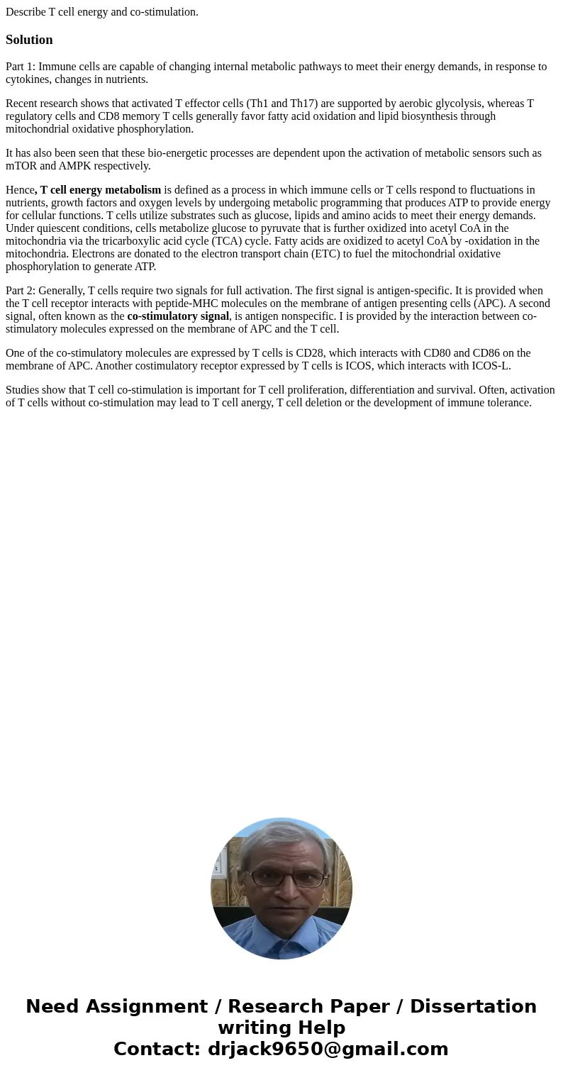 Describe T cell energy and co-stimulation.SolutionPart 1: Immune cells are capable of changing internal metabolic pathways to meet their energy demands, in resp Describe T cell energy and co-stimulation.SolutionPart 1: Immune cells are capable of changing internal metabolic pathways to meet their energy demands, in resp